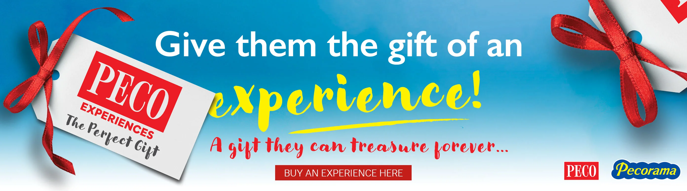 Master Your Miniature World